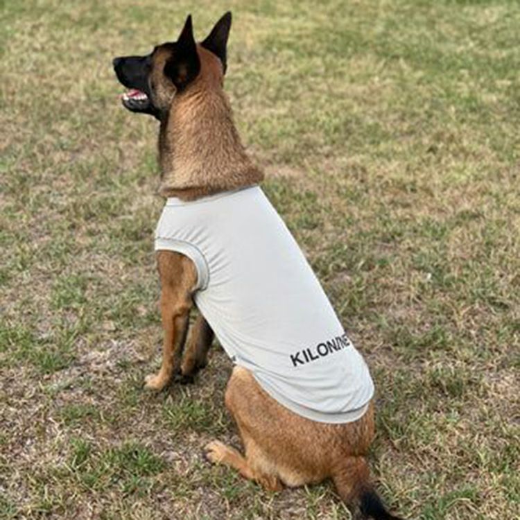 Active Cooling Shirt