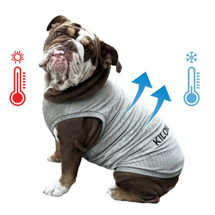 Active Cooling Shirt