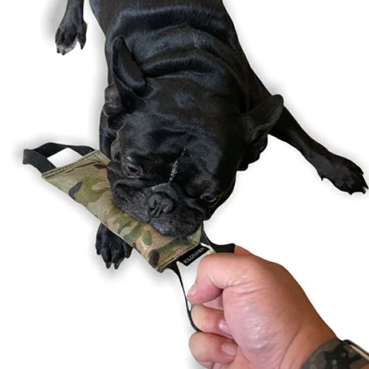 Training Tug Toy