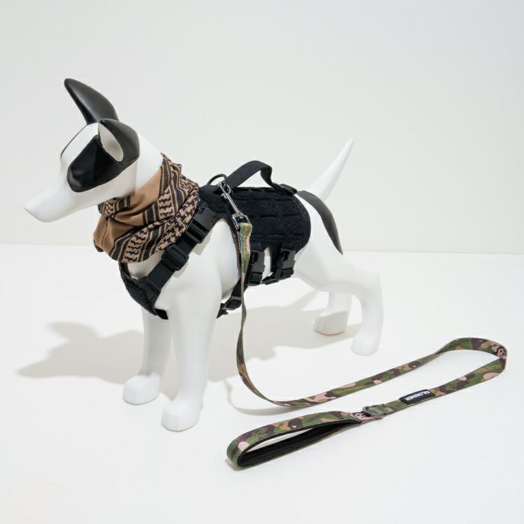 Strike Leash