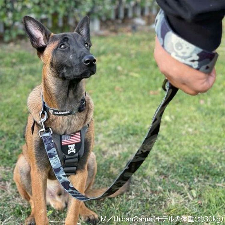 Strike Leash