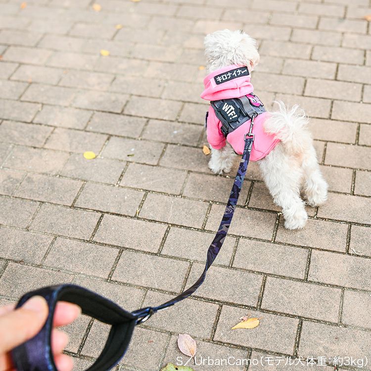 Strike Leash