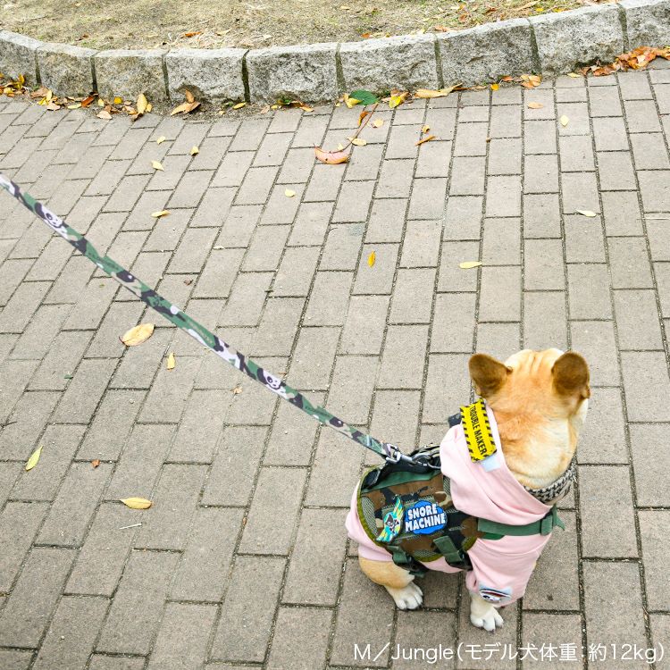 Strike Leash