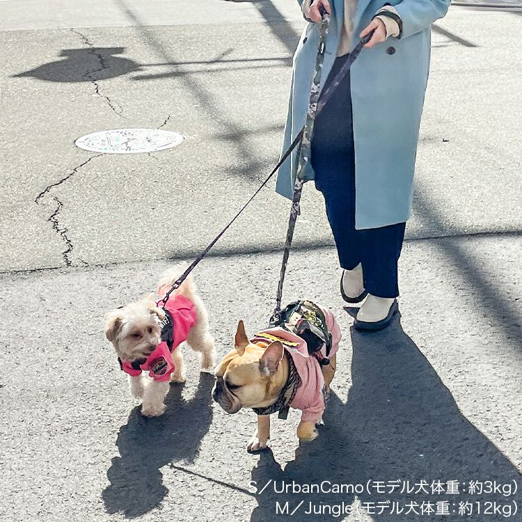 Strike Leash