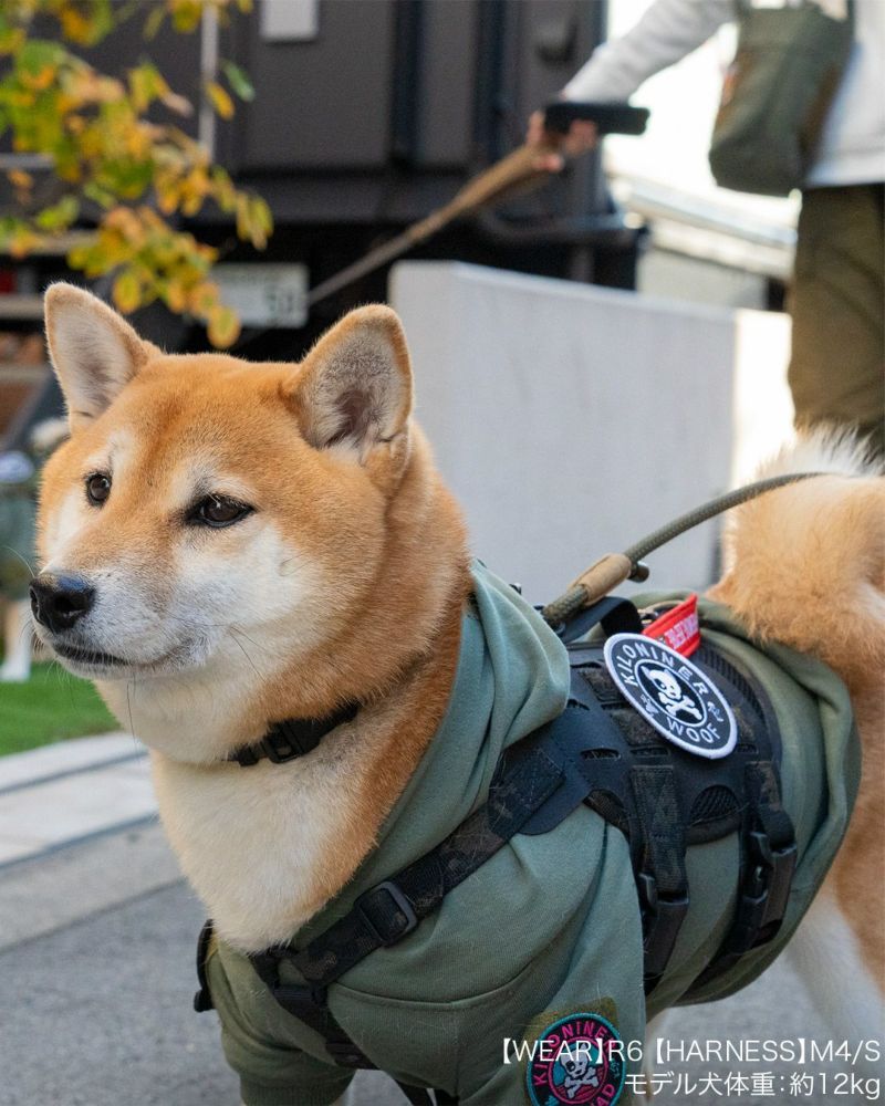 Dog and Crossbones Patch