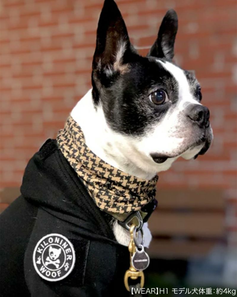Dog and Crossbones Patch