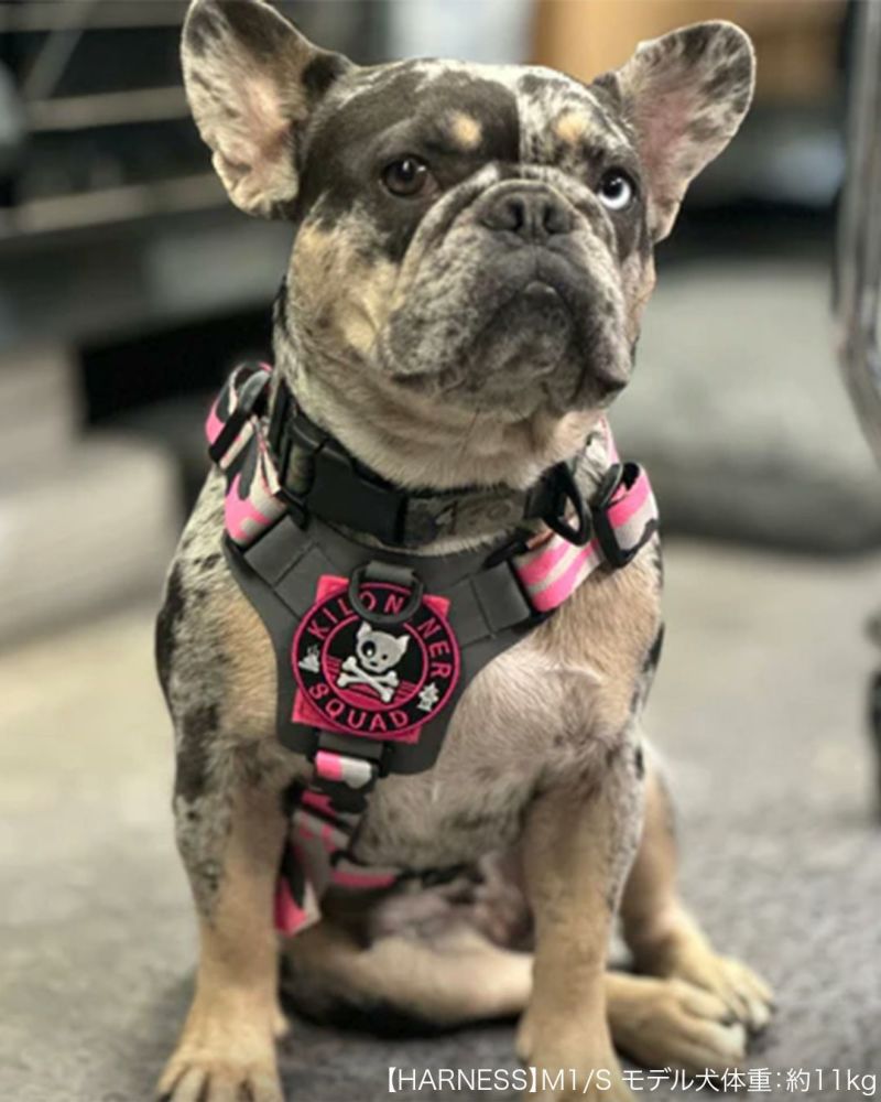 Dog and Crossbones Patch