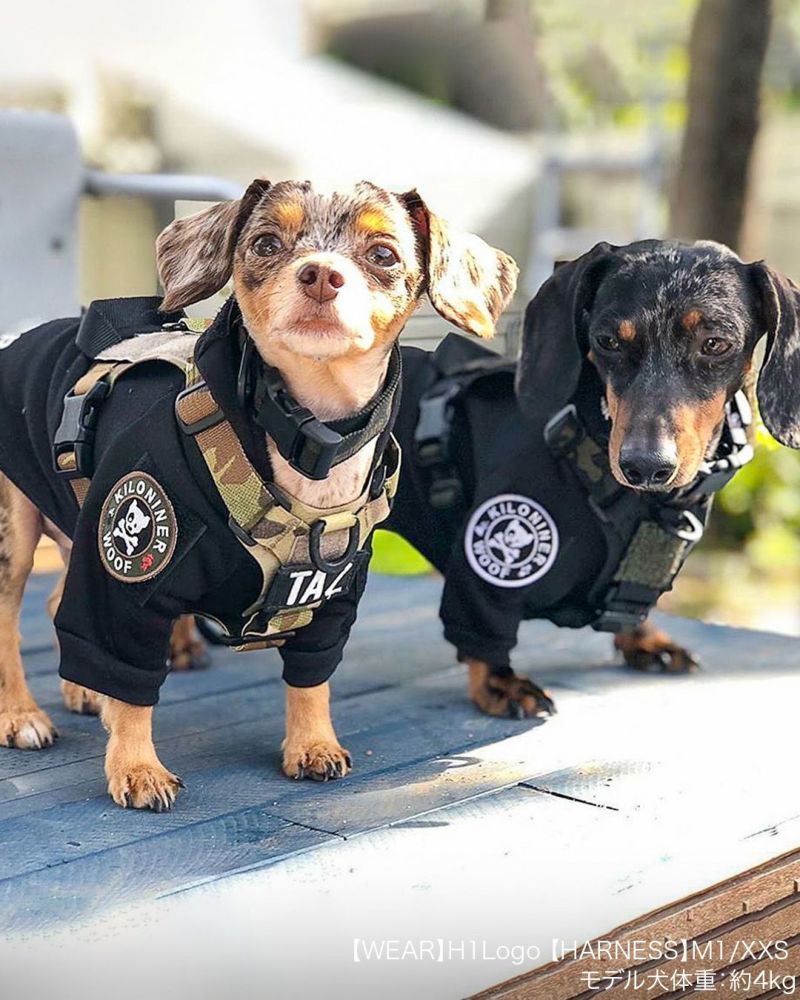 Mini Dog and Crossbones Patch