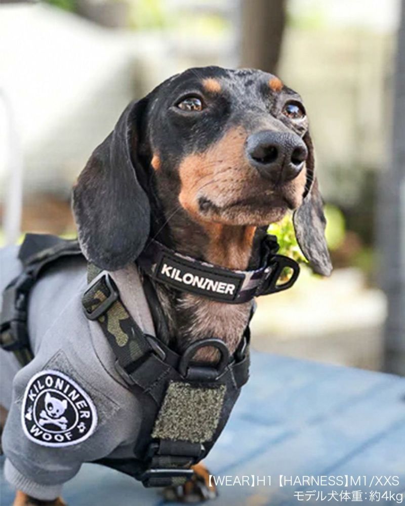 Mini Dog and Crossbones Patch