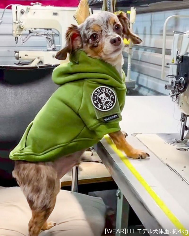 Mini Dog and Crossbones Patch