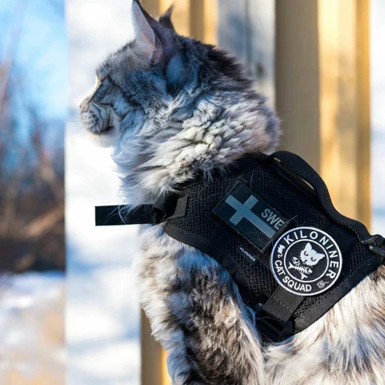 Cat Squad Patch