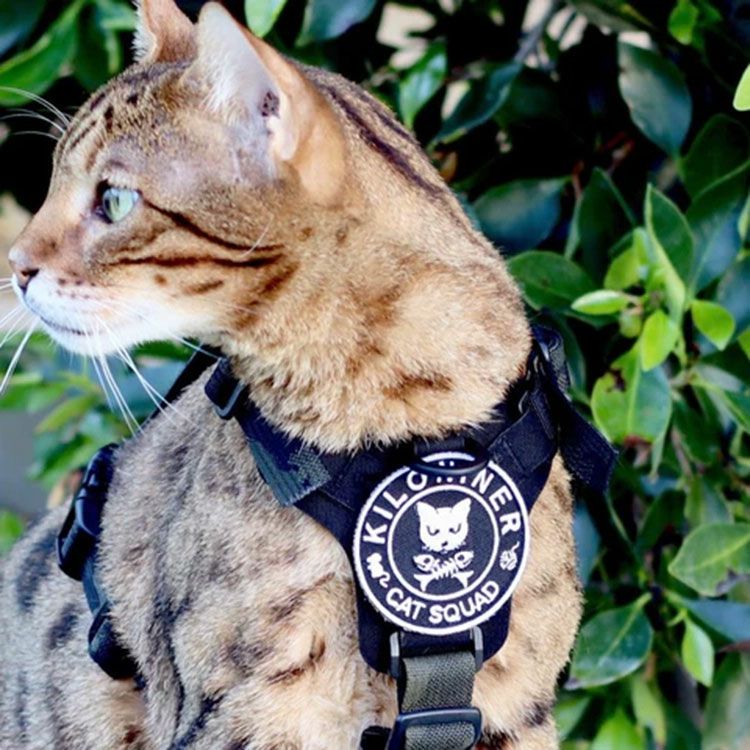 Cat Squad Patch