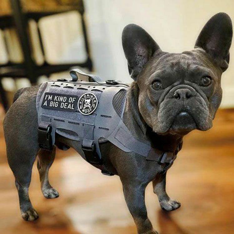 I'm KIND OF A BIG DEAL Patch