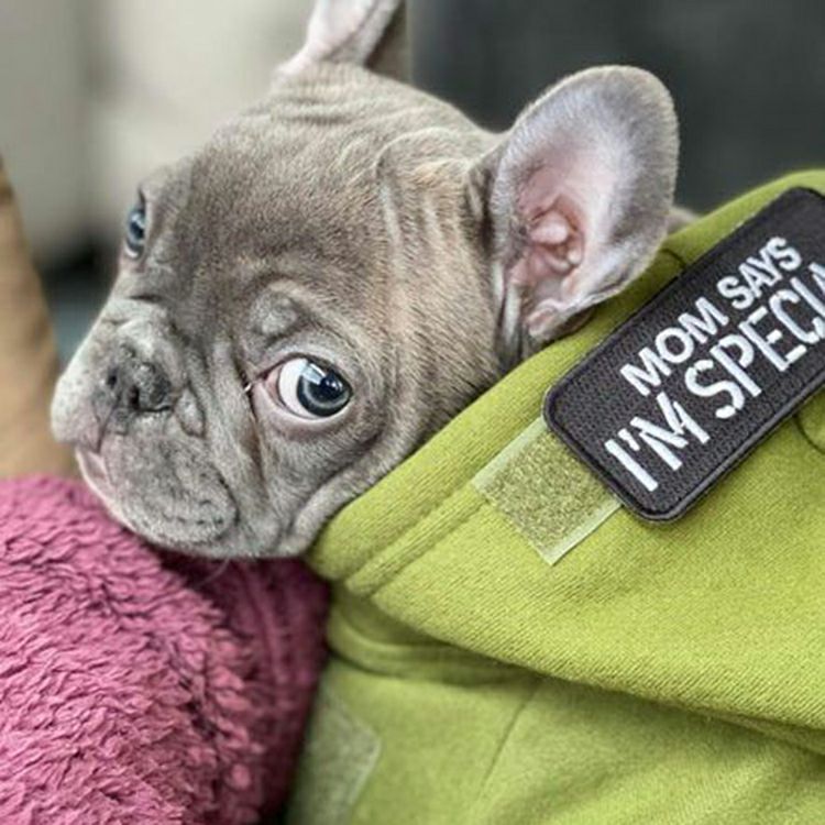 MOM SAYS IM SPECIAL Patch