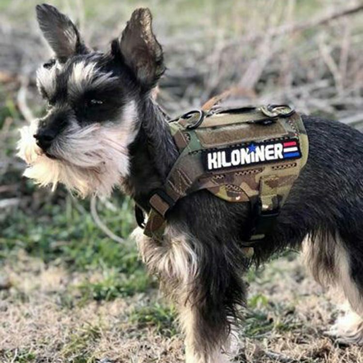 Stars and Stripes Patch