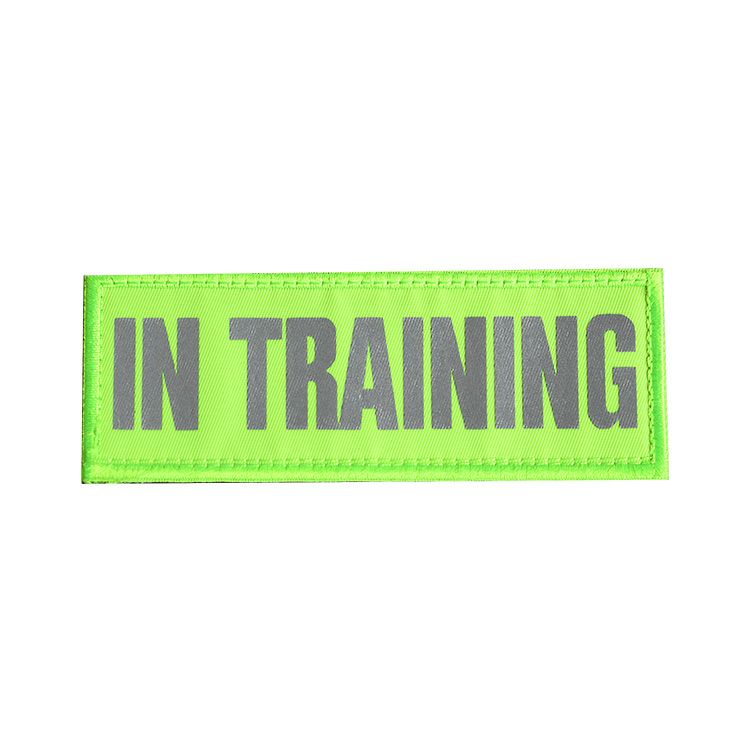 Reflective High Visibility IN TRAINING Patch