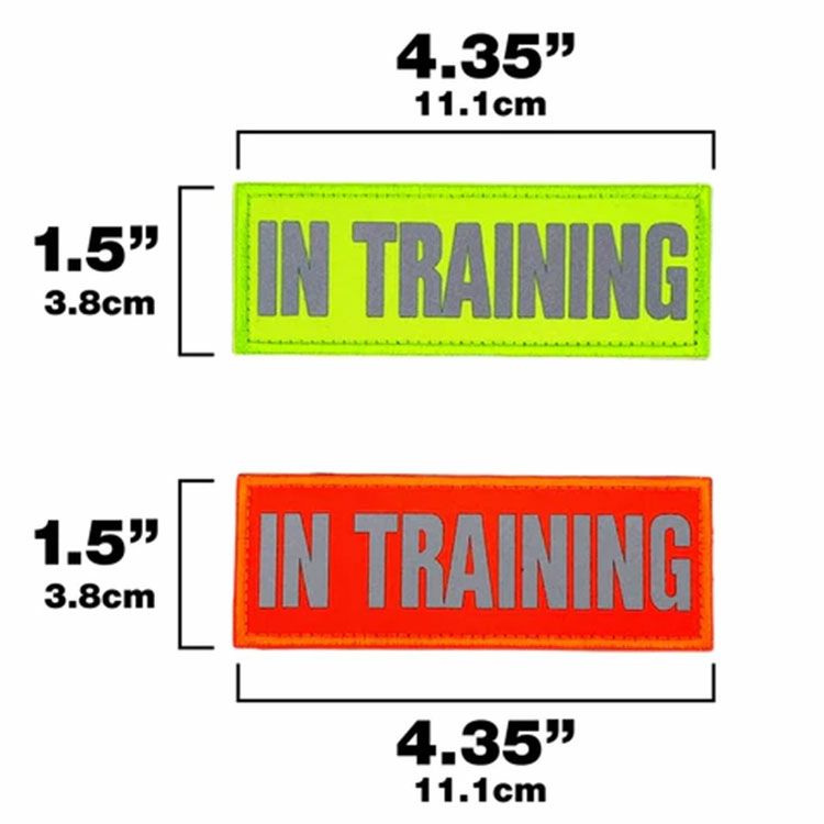 Reflective High Visibility IN TRAINING Patch