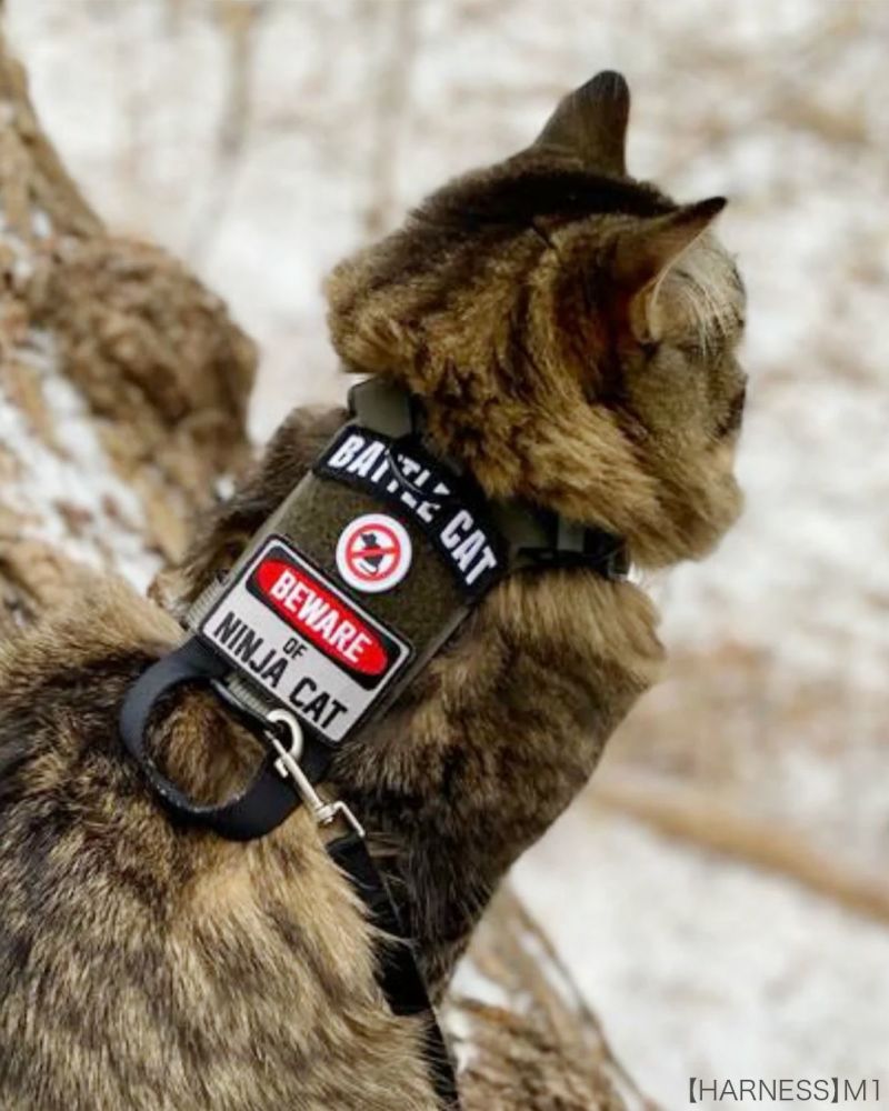 Battle Cat Archmoral Patch