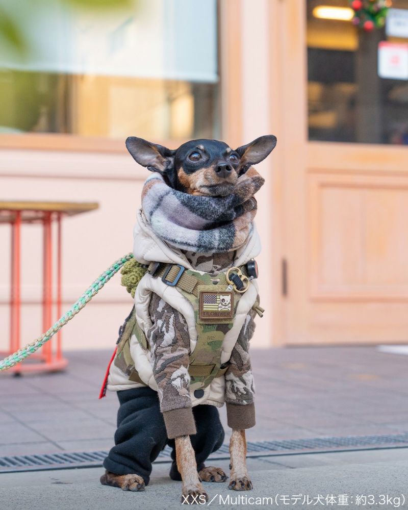 M5 Light Vest