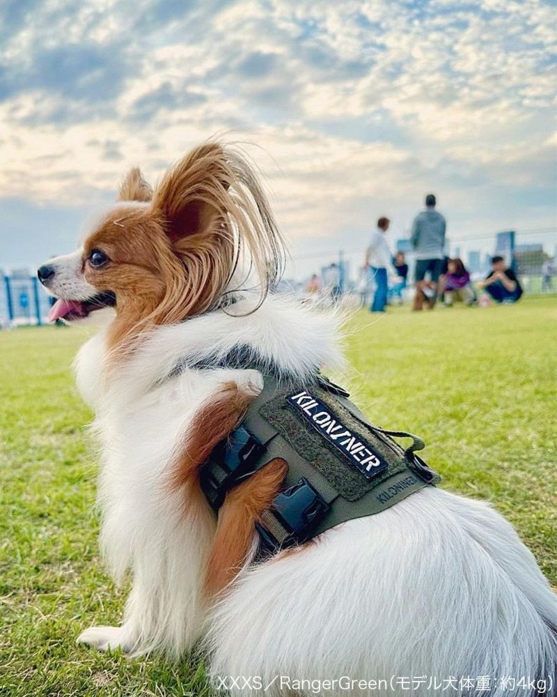 M5 Light Vest