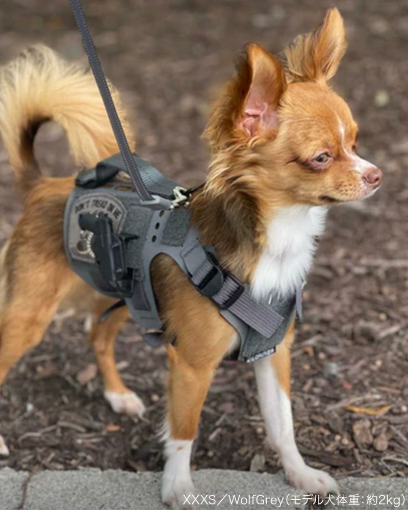 M5 Light Vest