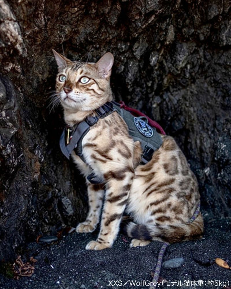 M5 Light Vest