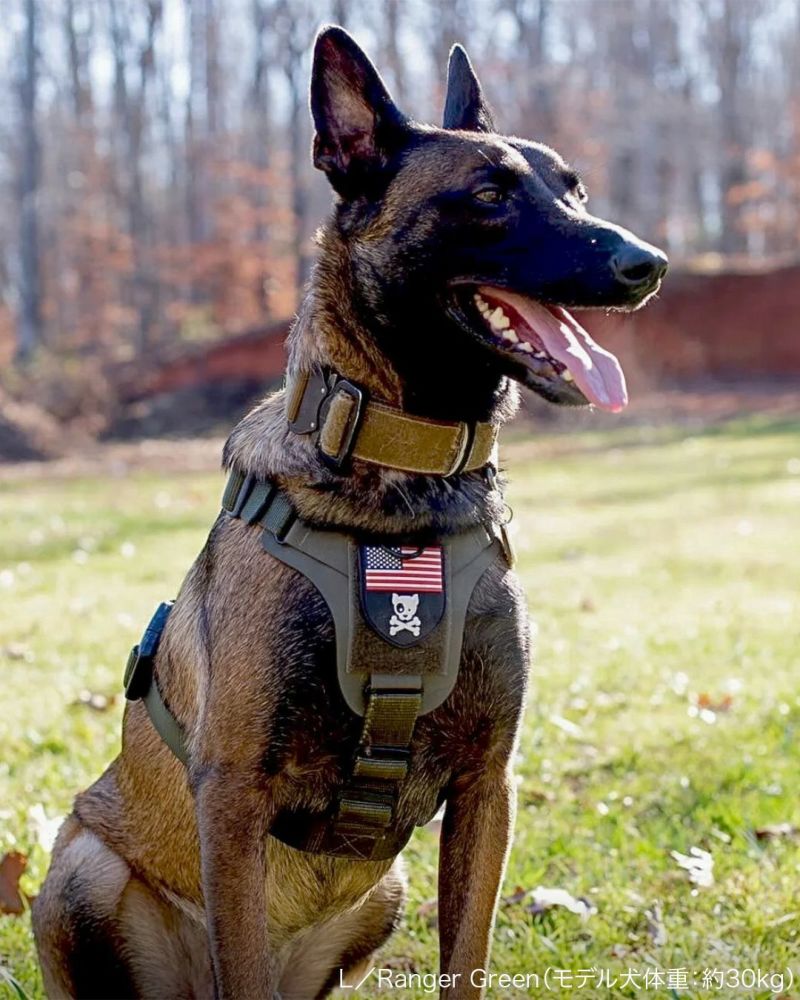 2023モデル M1 Light Speed Harness L