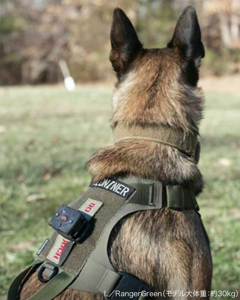 2023モデル M1 Light Speed Harness L