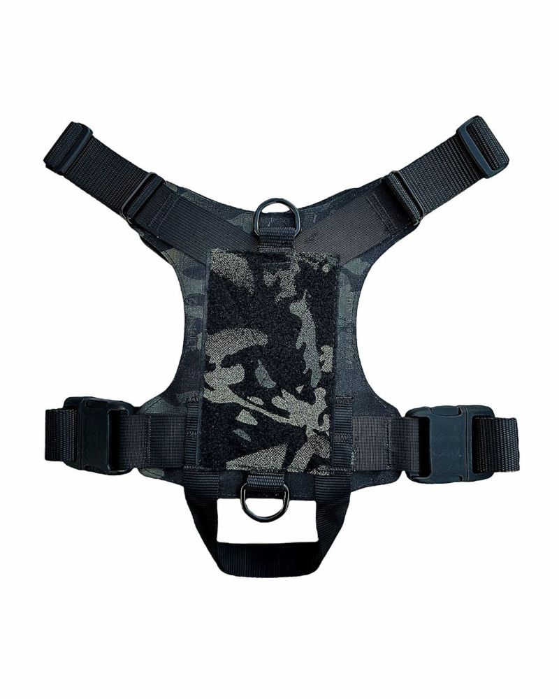 2023モデル M1 Light Speed Harness L