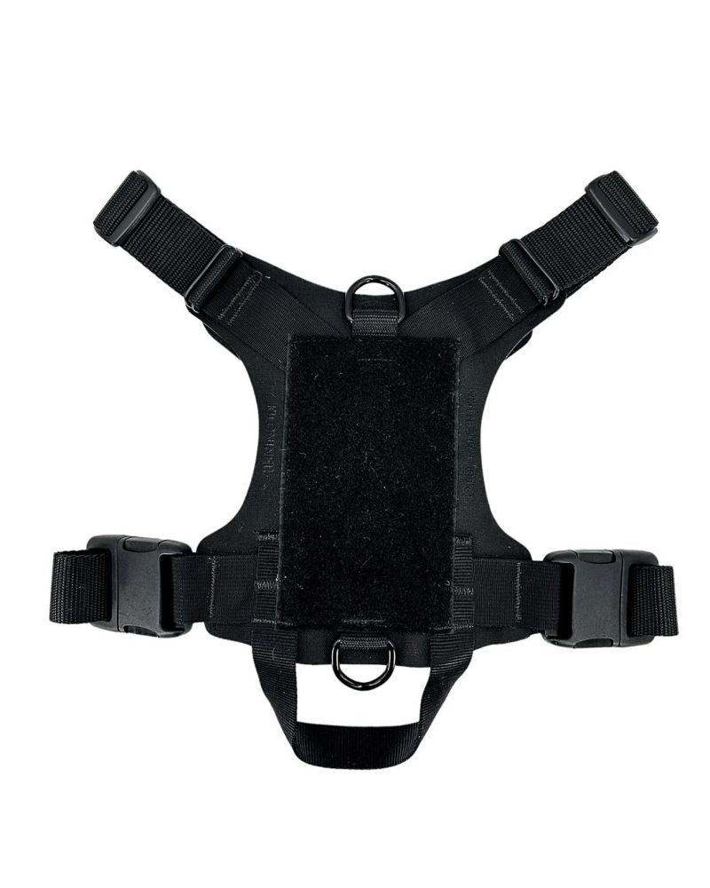 2023モデル M1 Light Speed Harness L