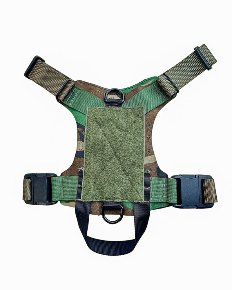 2023モデル M1 Light Speed Harness L