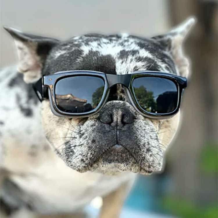 W1 Eye Defender Goggles