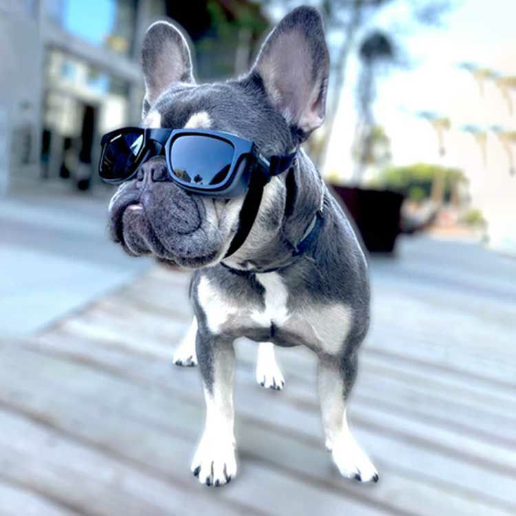 W1 Eye Defender Goggles