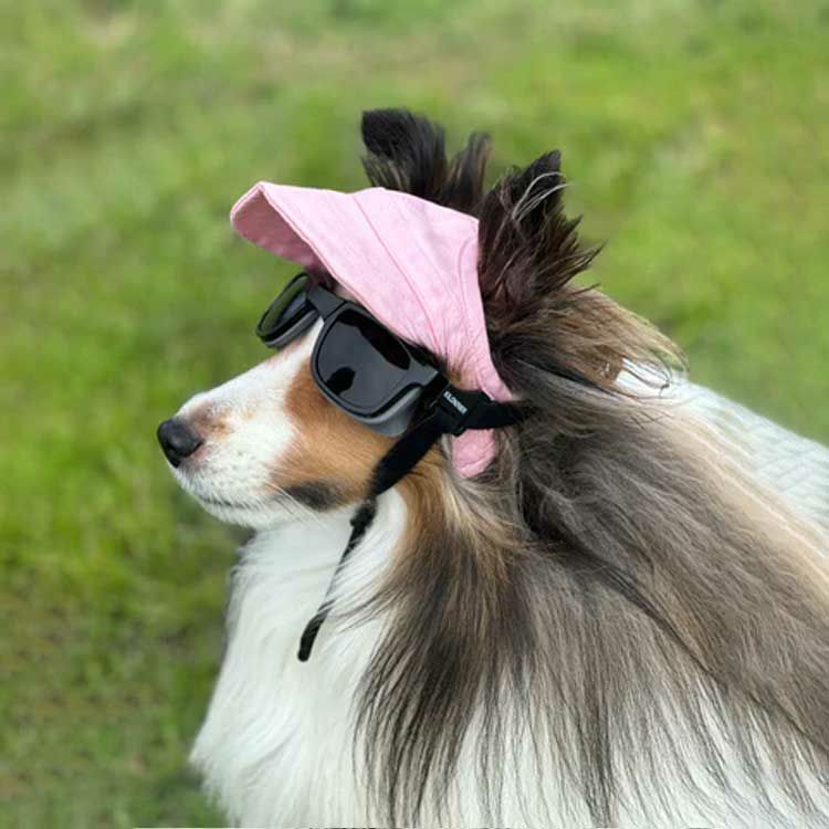 W1 Eye Defender Goggles