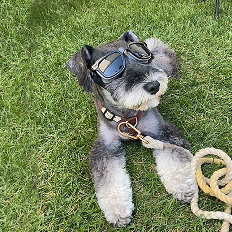 W1 Eye Defender Goggles