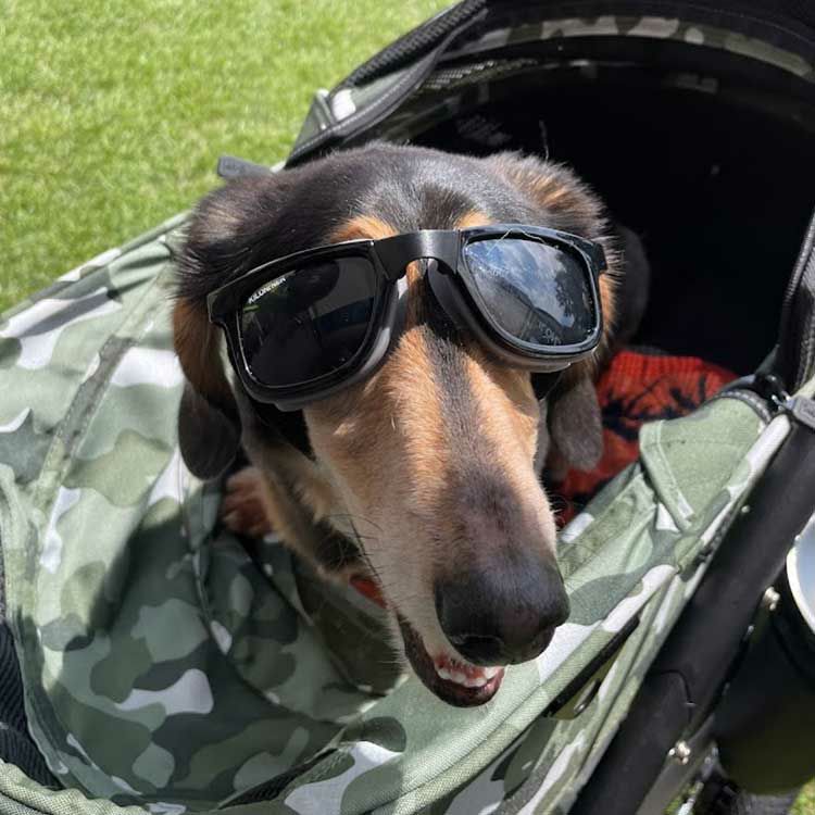 W1 Eye Defender Goggles