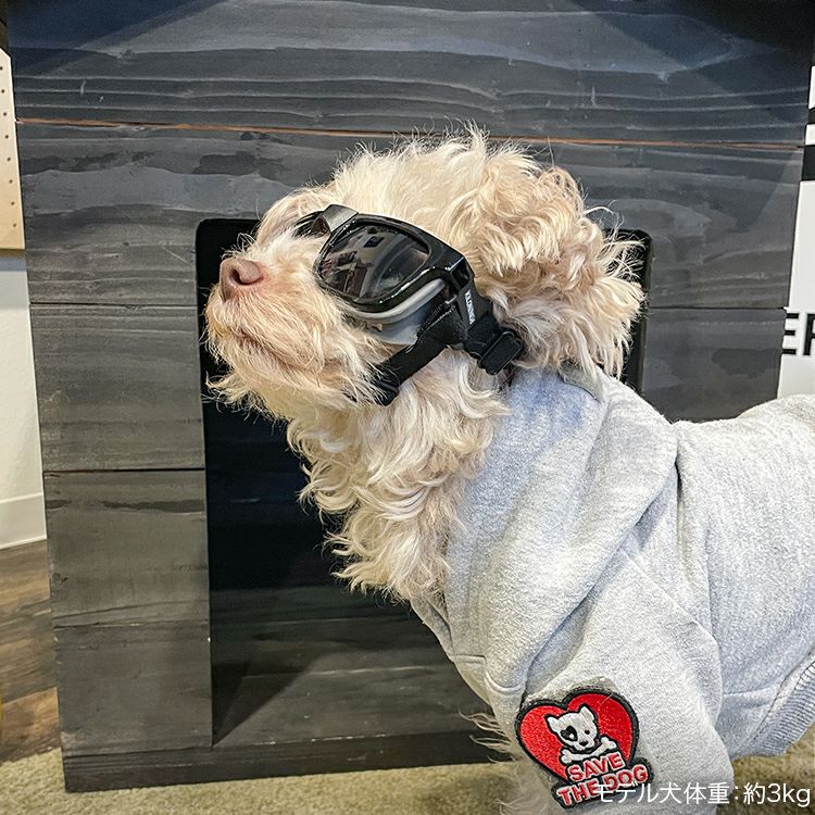 W1 Eye Defender Goggles