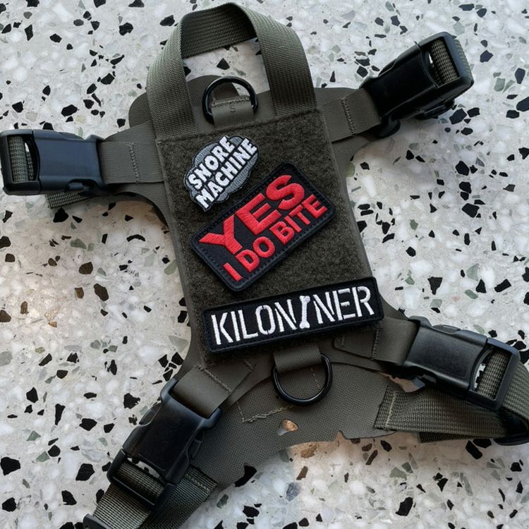 YES I DO BITE MORALE PATCH