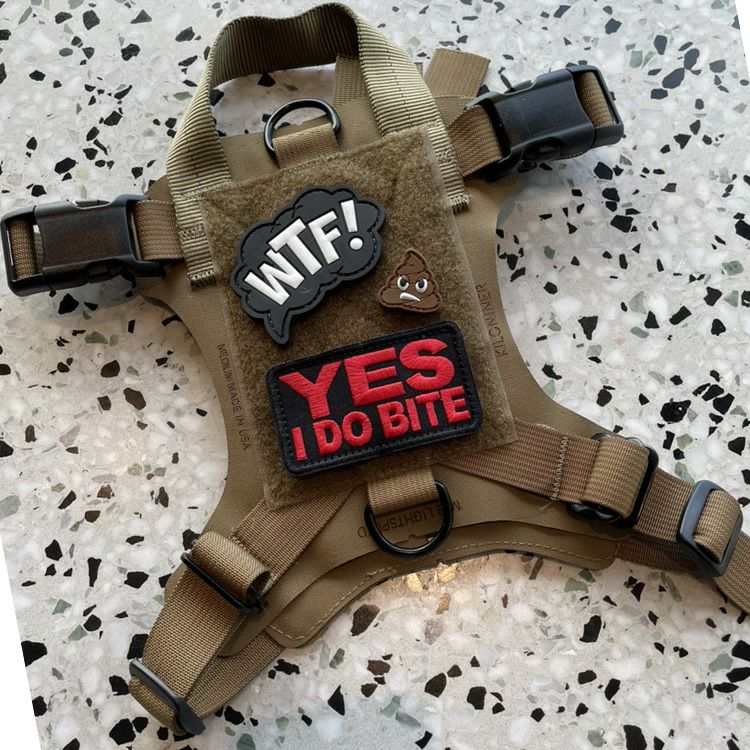 YES I DO BITE MORALE PATCH