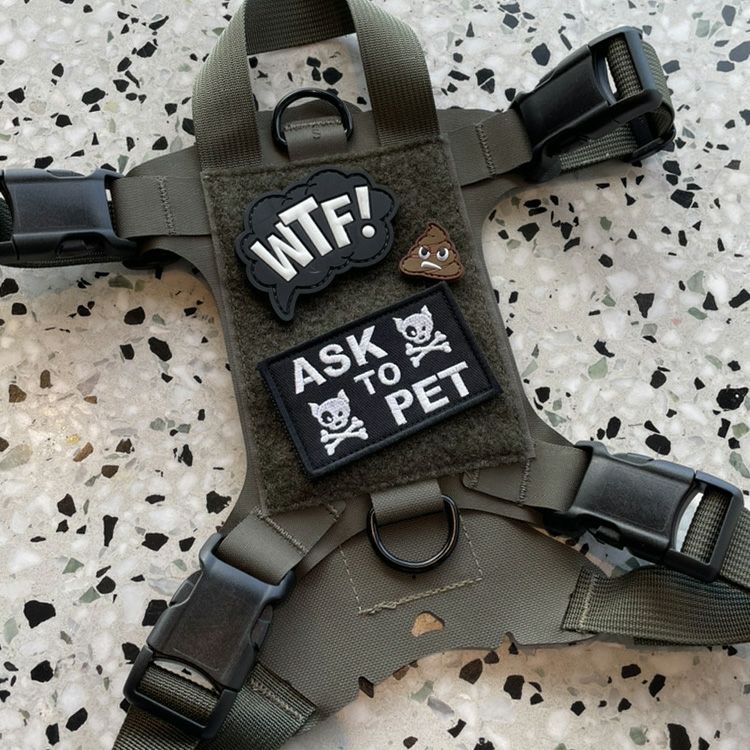 ASK TO PET SKULL EMBROIDERED PATCH