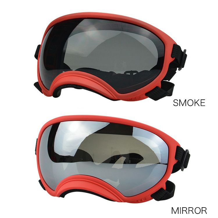 R5 First shot Goggles