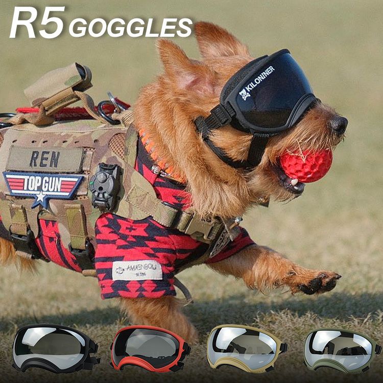 R5 First shot Goggles