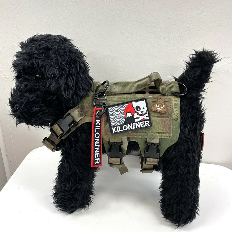 Mt.FUJI Dog and Crossbone Patch