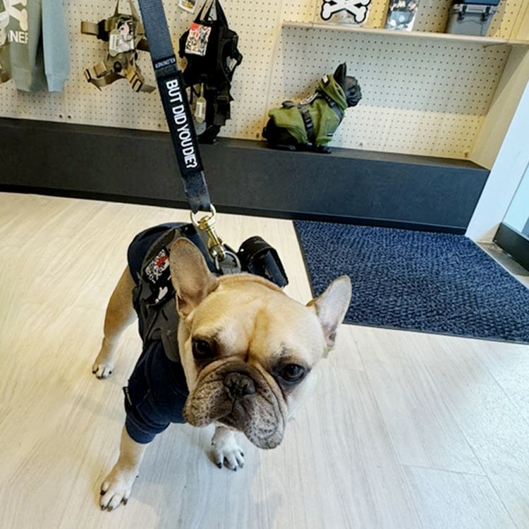 BLH BIG LEASH HEAVY DUTY