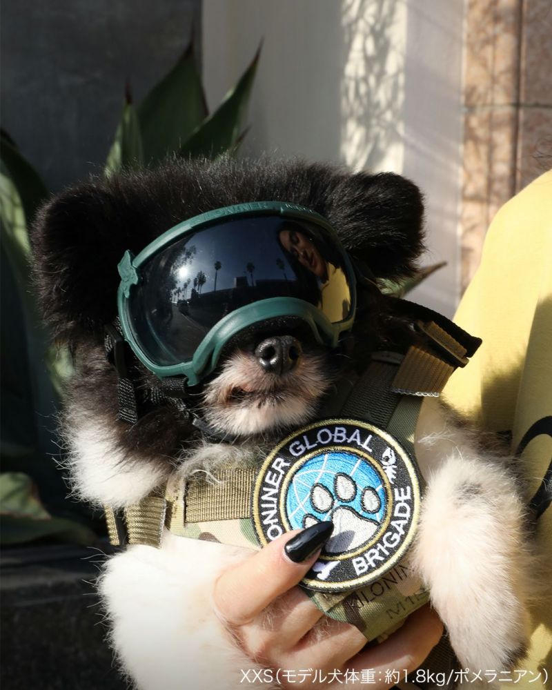 Signature Goggles