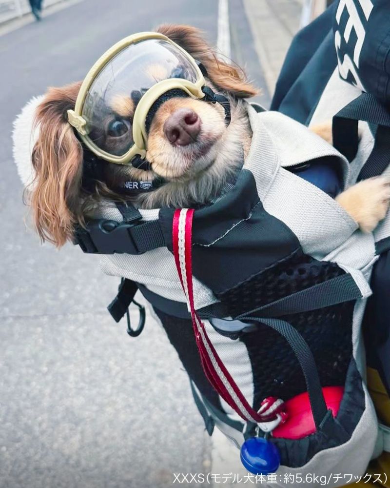 Signature Goggles