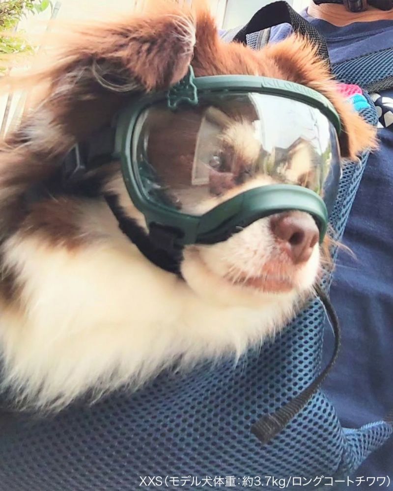 Signature Goggles