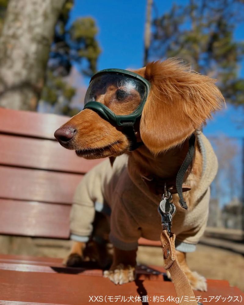 Signature Goggles