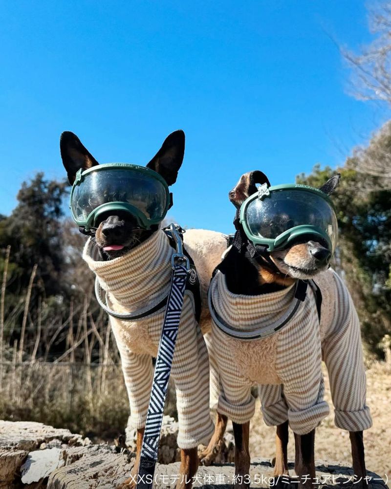 Signature Goggles