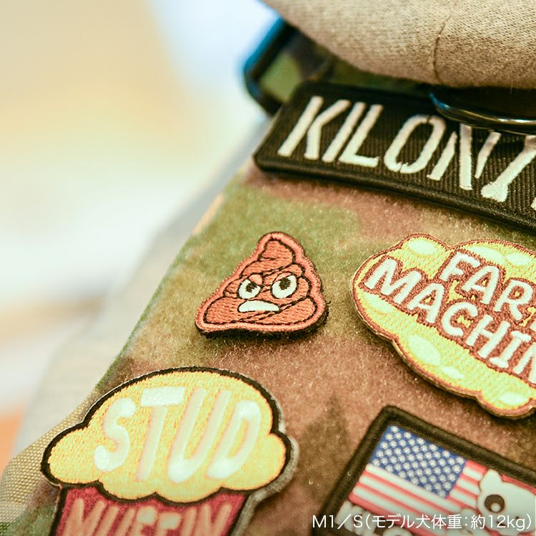 Mini Stinky Poop Embroidered Patch